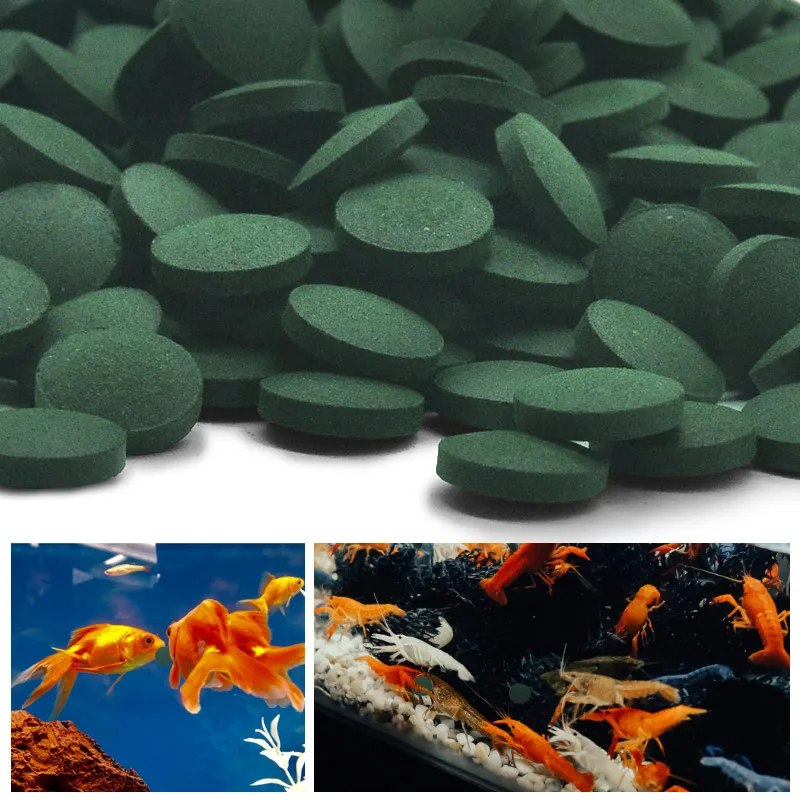Aquarium Fish Vitamin - 100pcs High Purity Spirulina Tablets Spiral