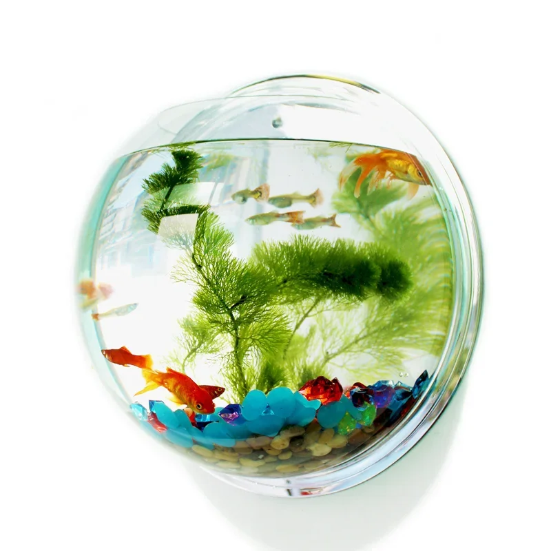 Aquarium Fish Jar - Pinsjar Acrylic Fish Bowl Wall Hanging