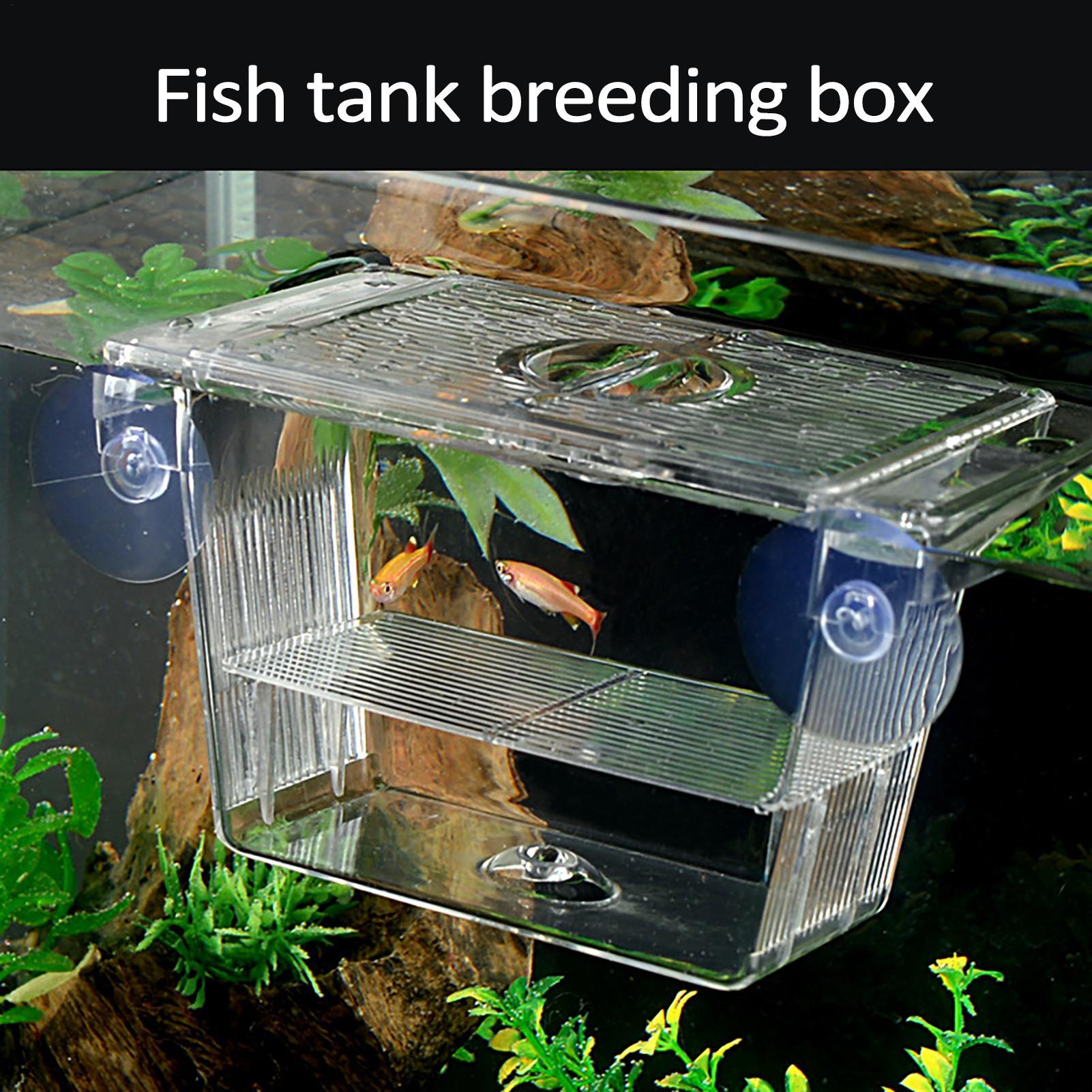Aquarium Fish Jar - Breeder Box for Fish Tank Transparent