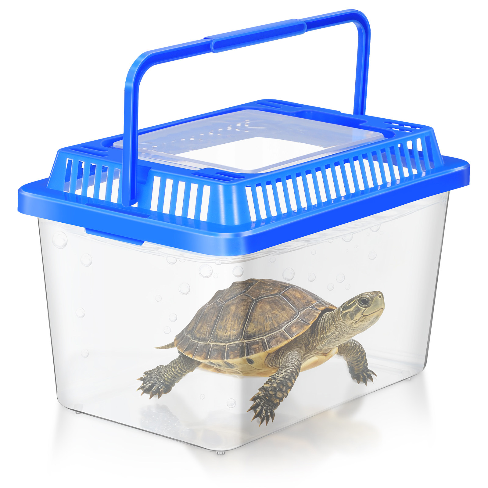 Aquarium Fish Goldfish - Mini Portable Fish Tank Transparent Plastic