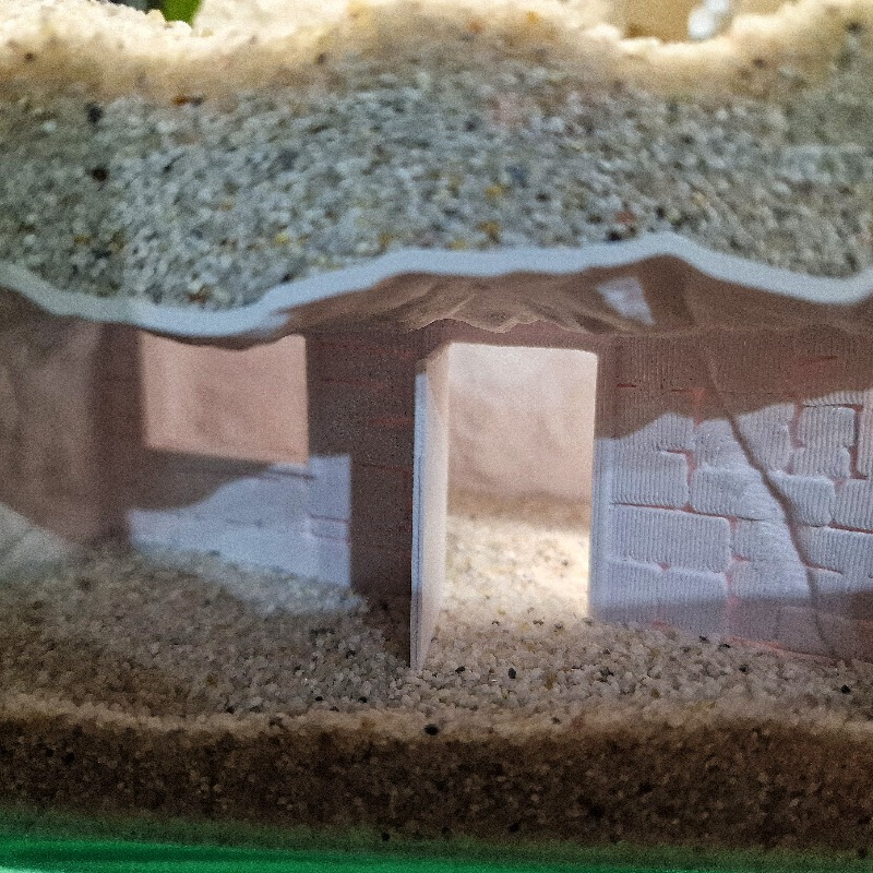 3D Printed Secret House Fish T - Aquarium Fish Hideout recension och pris