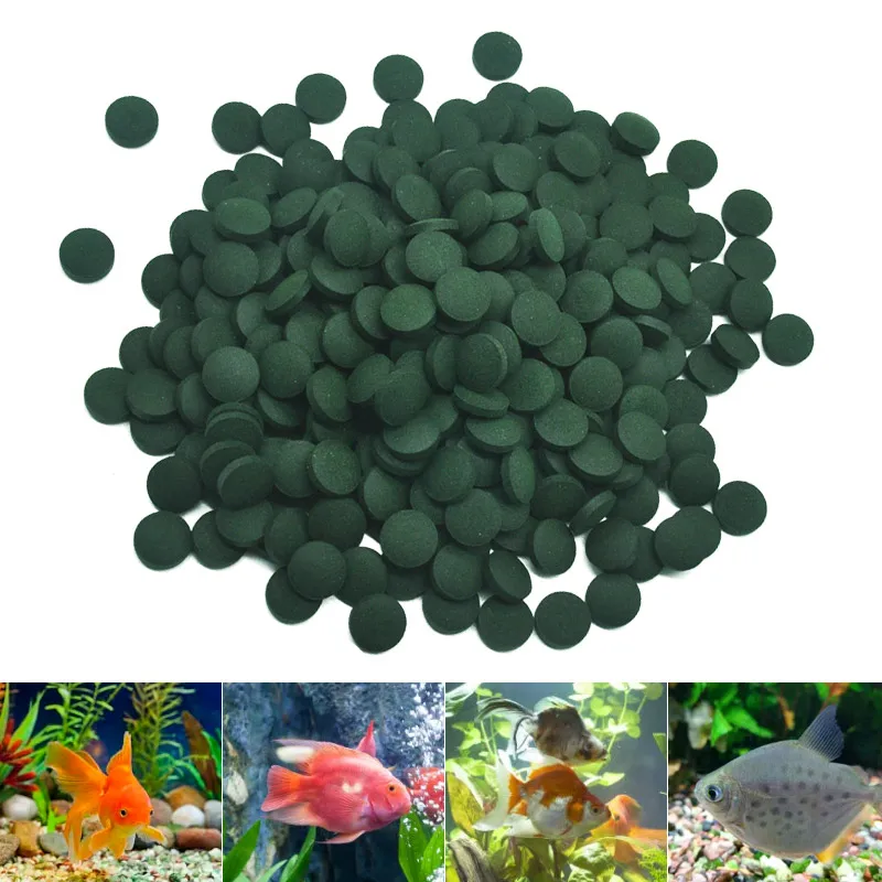 100pcs High Purity Spirulina T - Aquarium Fish Vitamin recension och pris