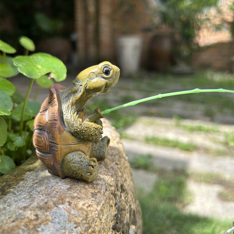Turtle fishing fish tank aquar - Aquarium Fish Types recension och pris