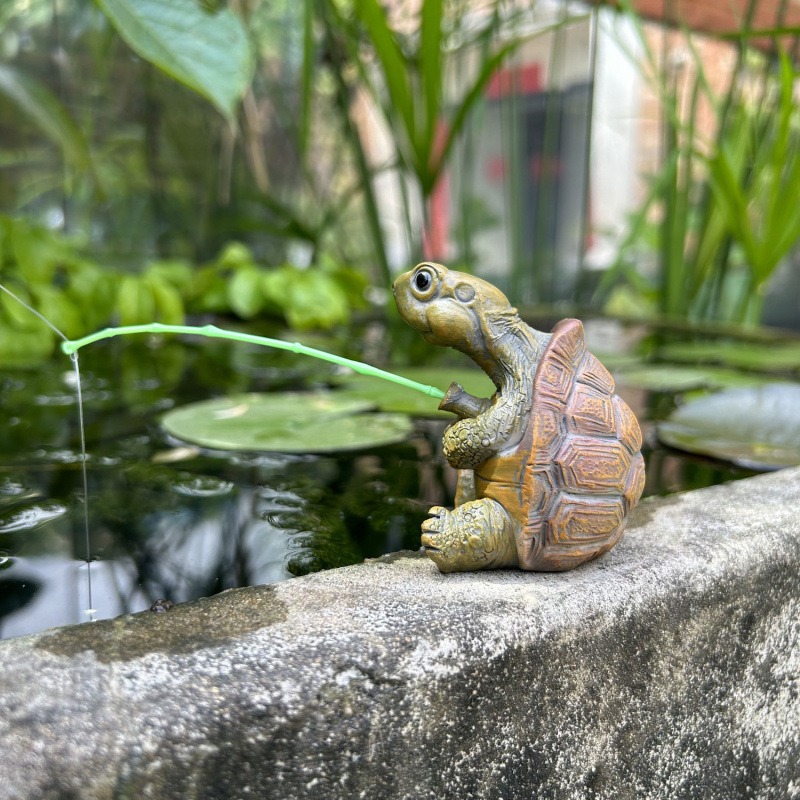 Turtle fishing fish tank aquar - Aquarium Fish Types recension och pris