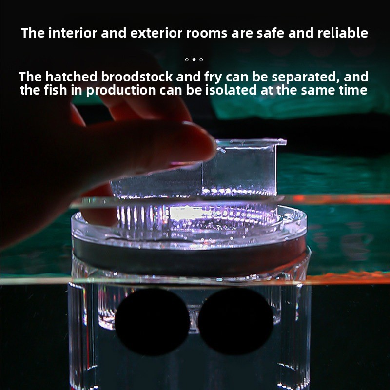 Acrylic Breeding Box Aquarium  - Aquarium Fish Parrot recension och pris