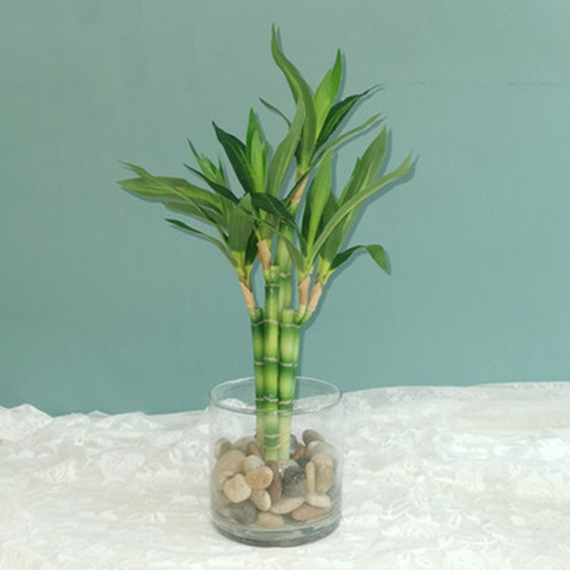 New 40cm rFtificial Lucky Bamb - Aquarium Fish Types recension och pris