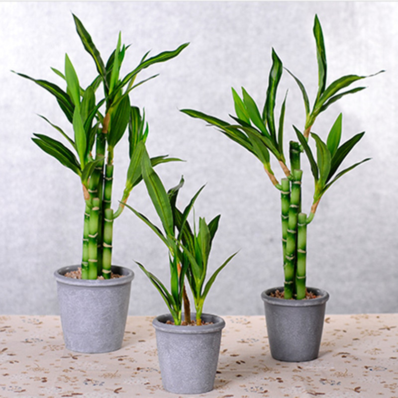 New 40cm rFtificial Lucky Bamb - Aquarium Fish Types recension och pris