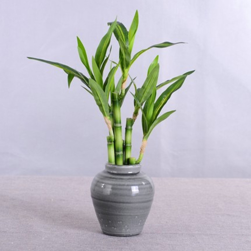 New 40cm rFtificial Lucky Bamb - Aquarium Fish Types recension och pris
