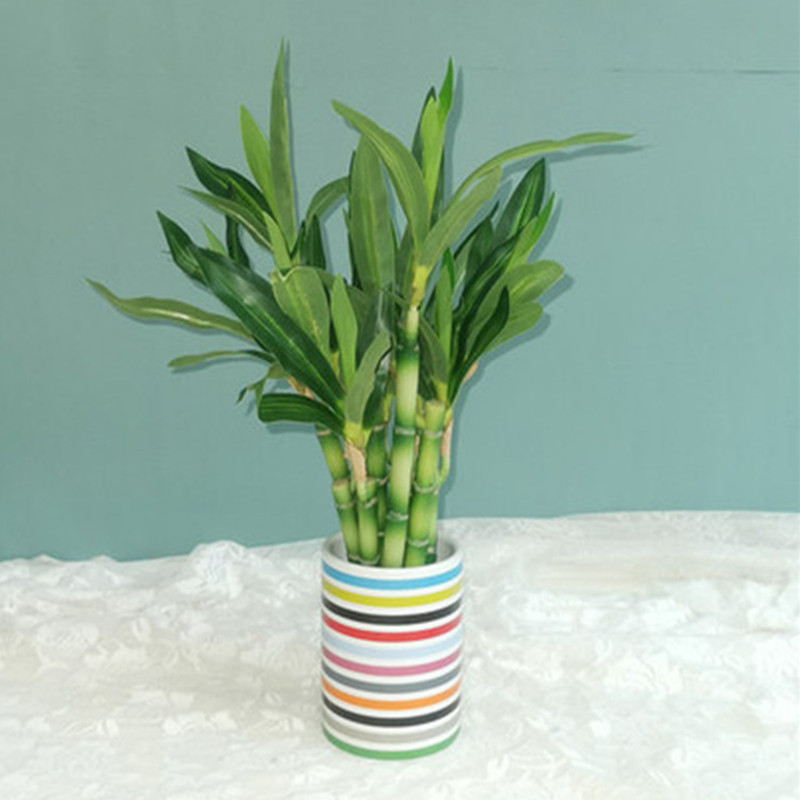 New 40cm rFtificial Lucky Bamb - Aquarium Fish Types recension och pris