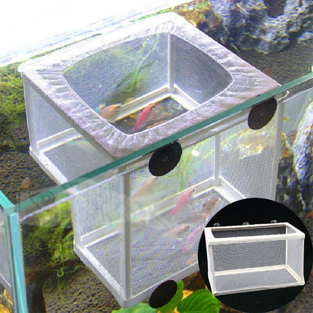 Aquarium Fish Breeder Box with - Aquarium Fish Jar recension och pris
