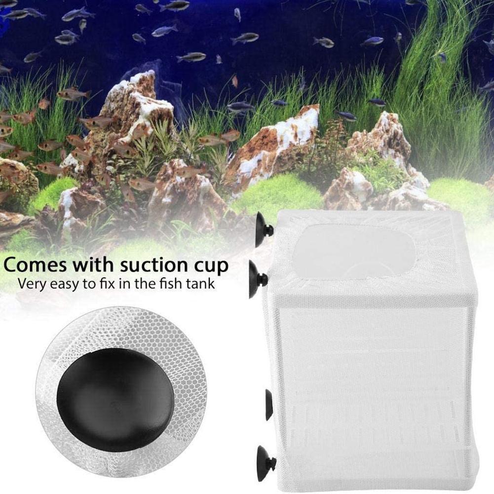 Aquarium Fish Breeder Box with - Aquarium Fish Jar recension och pris