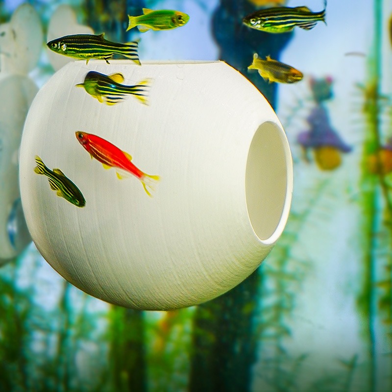 Aquarium Creative Ornament 3D  - Aquarium Fish Parrot recension och pris