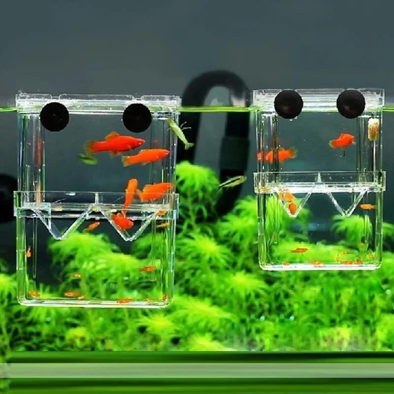 Transparent Fish Aquarium High - Aquarium Fish Jar recension och pris
