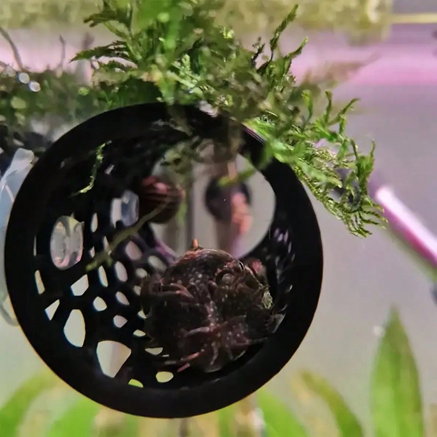 Betta Fish Hideout Hollow Tube - Aquarium Fish Hideout recension och pris