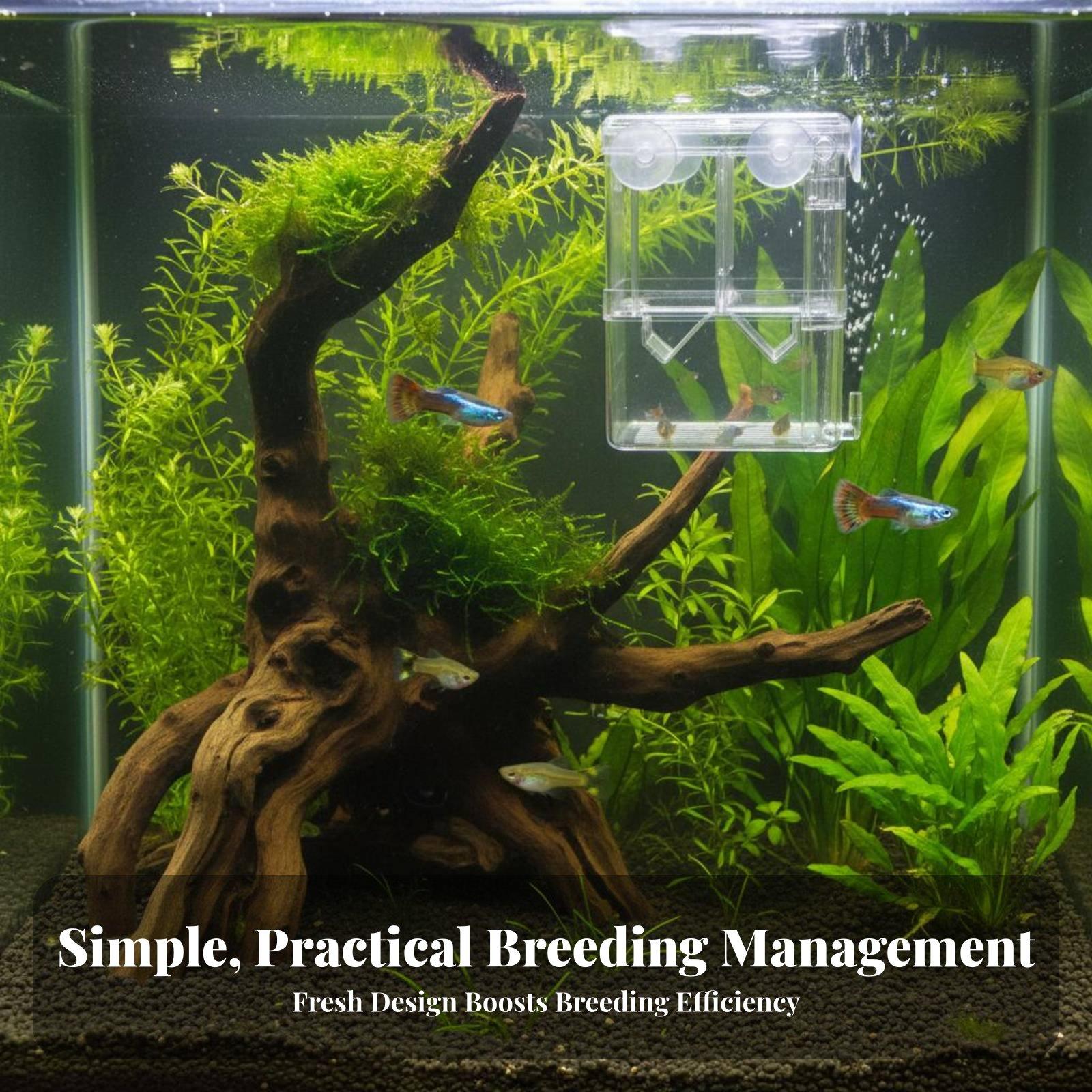 Double Layer Aquarium Breeding - Aquarium Fish In recension och pris