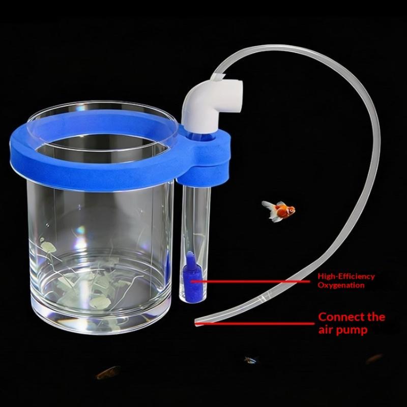 Transparent Acrylic Fish Breed - Aquarium Fish Jar recension och pris