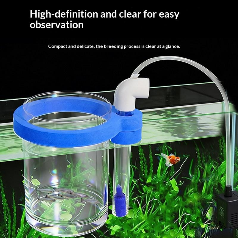 Transparent Acrylic Fish Breed - Aquarium Fish Jar recension och pris
