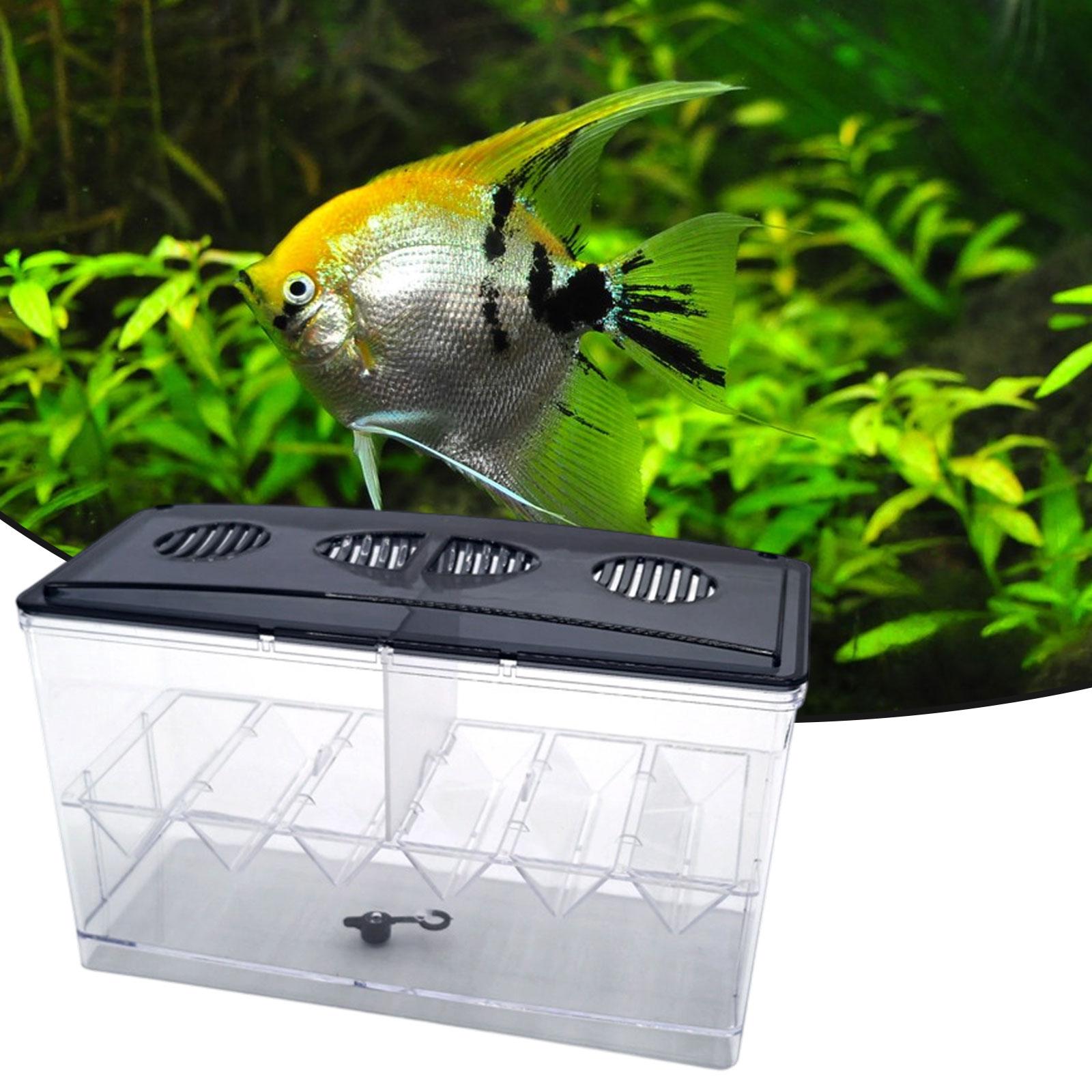 Floating Fish Breeding Isolati - Aquarium Fish Jar recension och pris