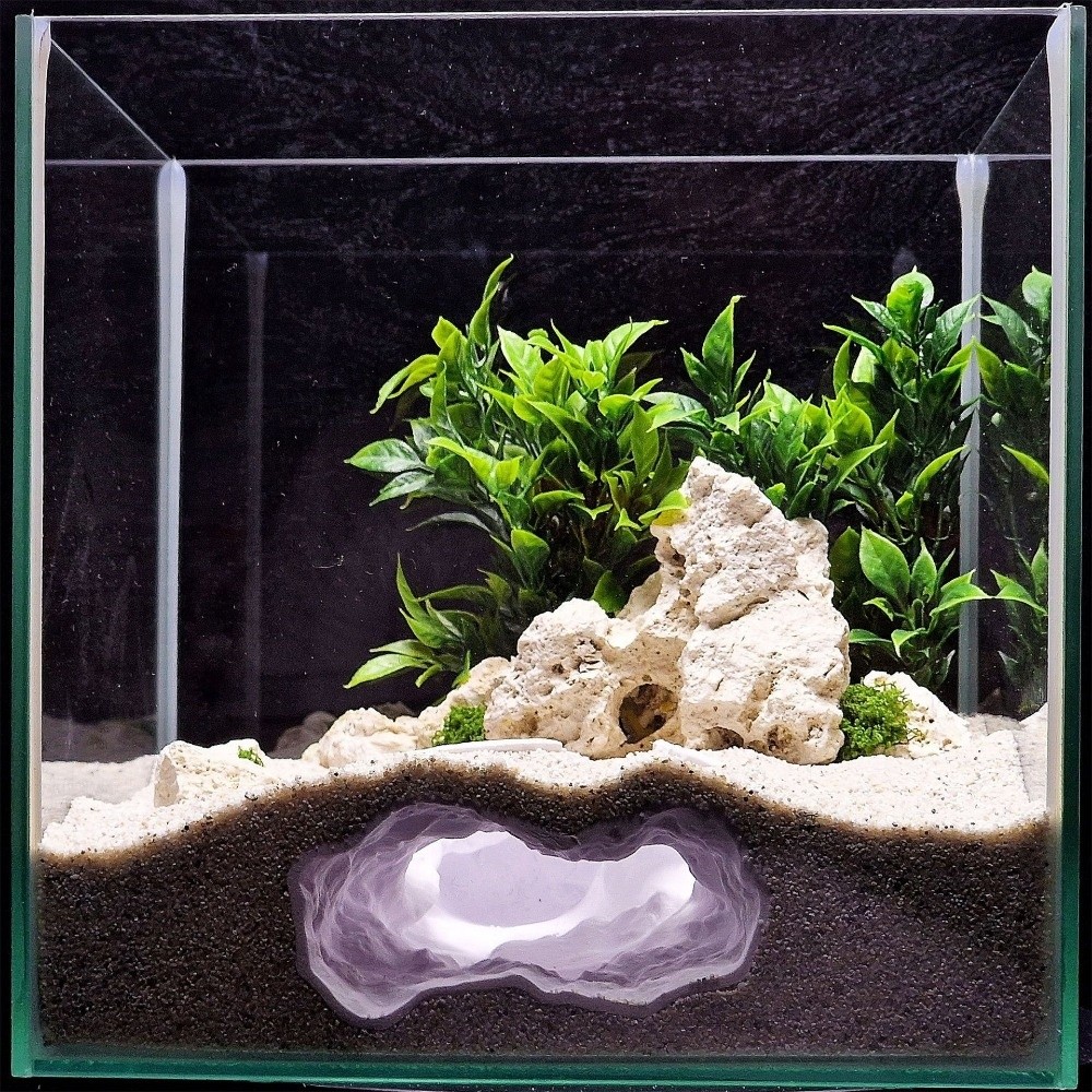 Highly Simulated Aquarium Fish - Aquarium Fish Hideout recension och pris