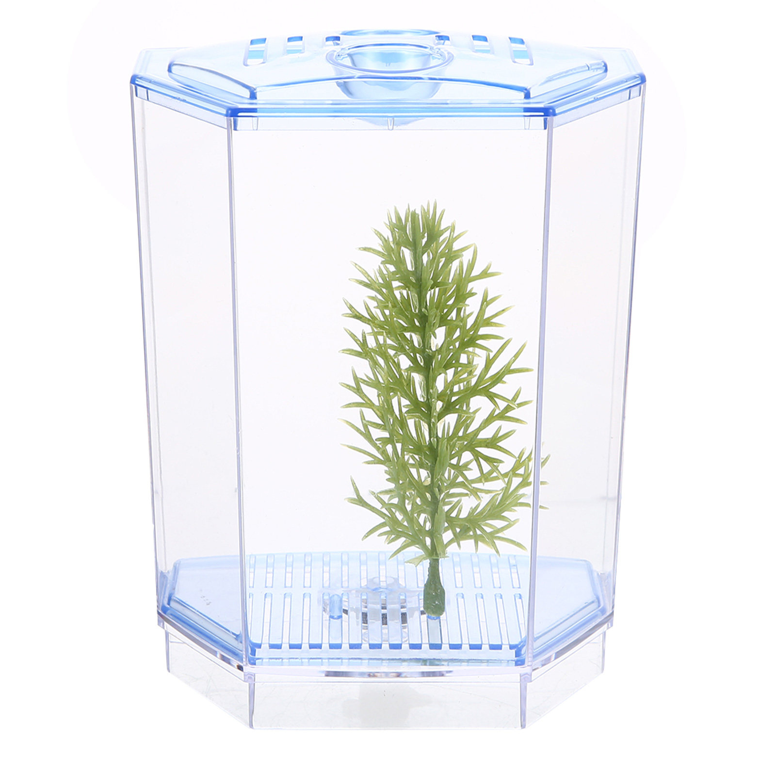 Mini Fish Tank Clear Plastic A - Aquarium Fish Goldfish recension och pris