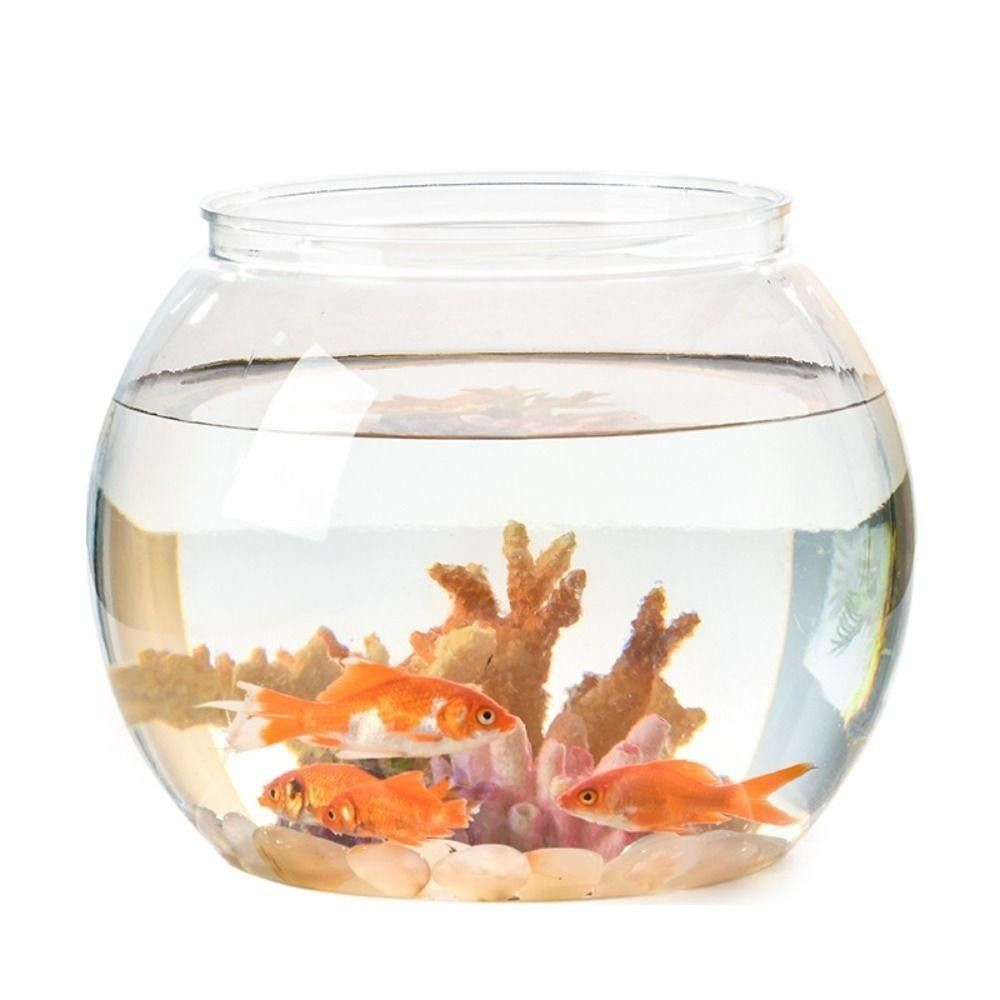 Portable Transparent Fish Tank - Aquarium Fish Goldfish recension och pris
