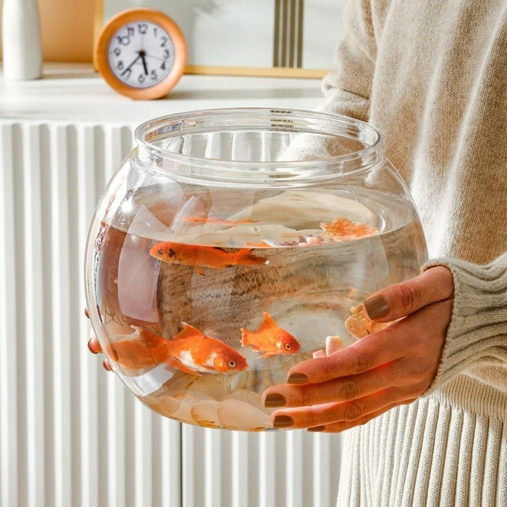 Portable Transparent Fish Tank - Aquarium Fish Goldfish recension och pris