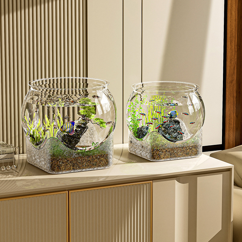 Fish Tank Aquarium Transparent - Aquarium Fish Goldfish recension och pris