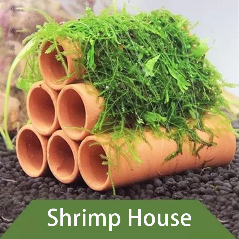 Clay Aquarium Decoration Fish  - Aquarium Fish Hideout recension och pris