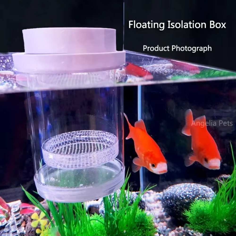 Plastic Floating Fish Breeding - Aquarium Fish Auto Feeder recension och pris