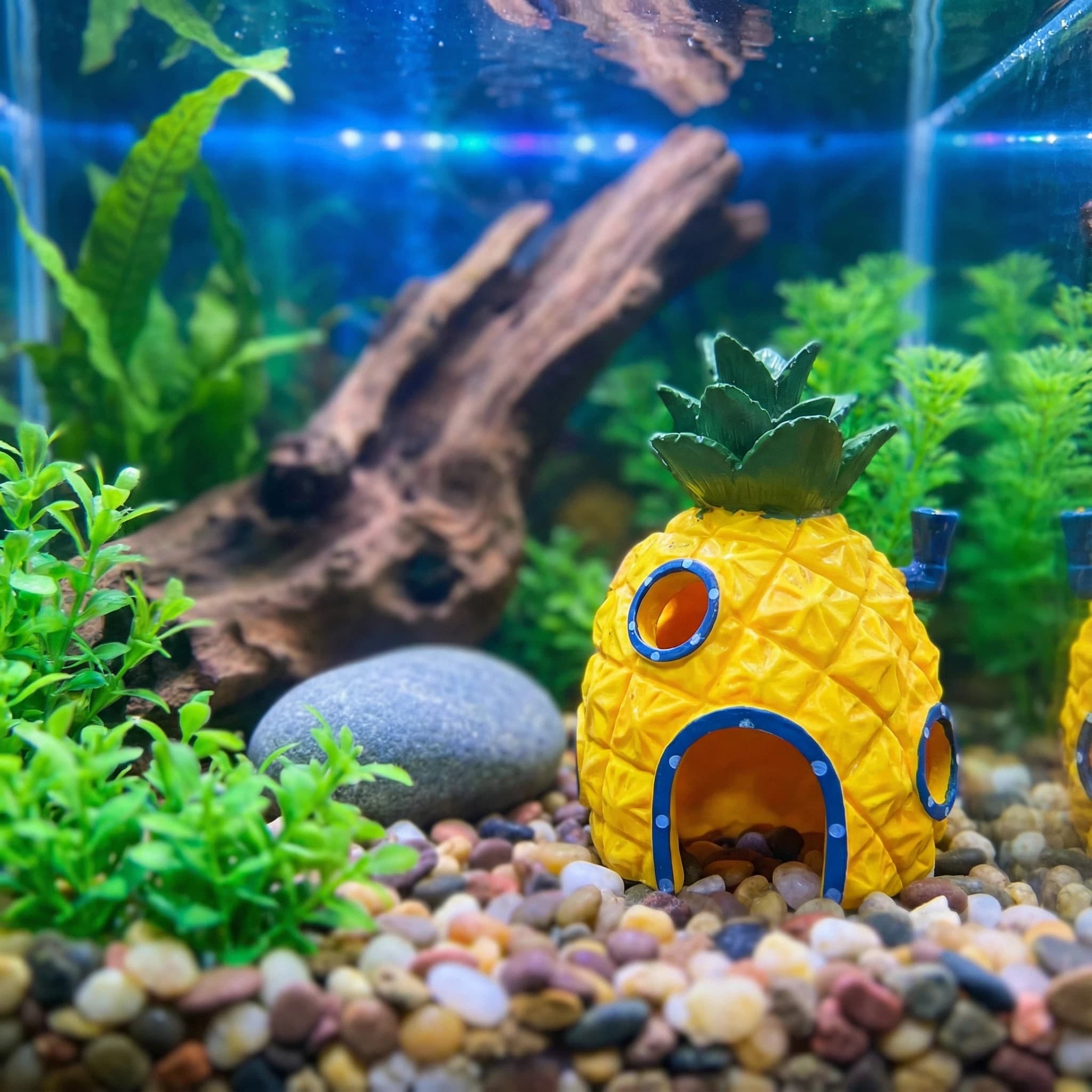 Pineapple House Aquarium Decor - Aquarium Fish Hideout recension och pris