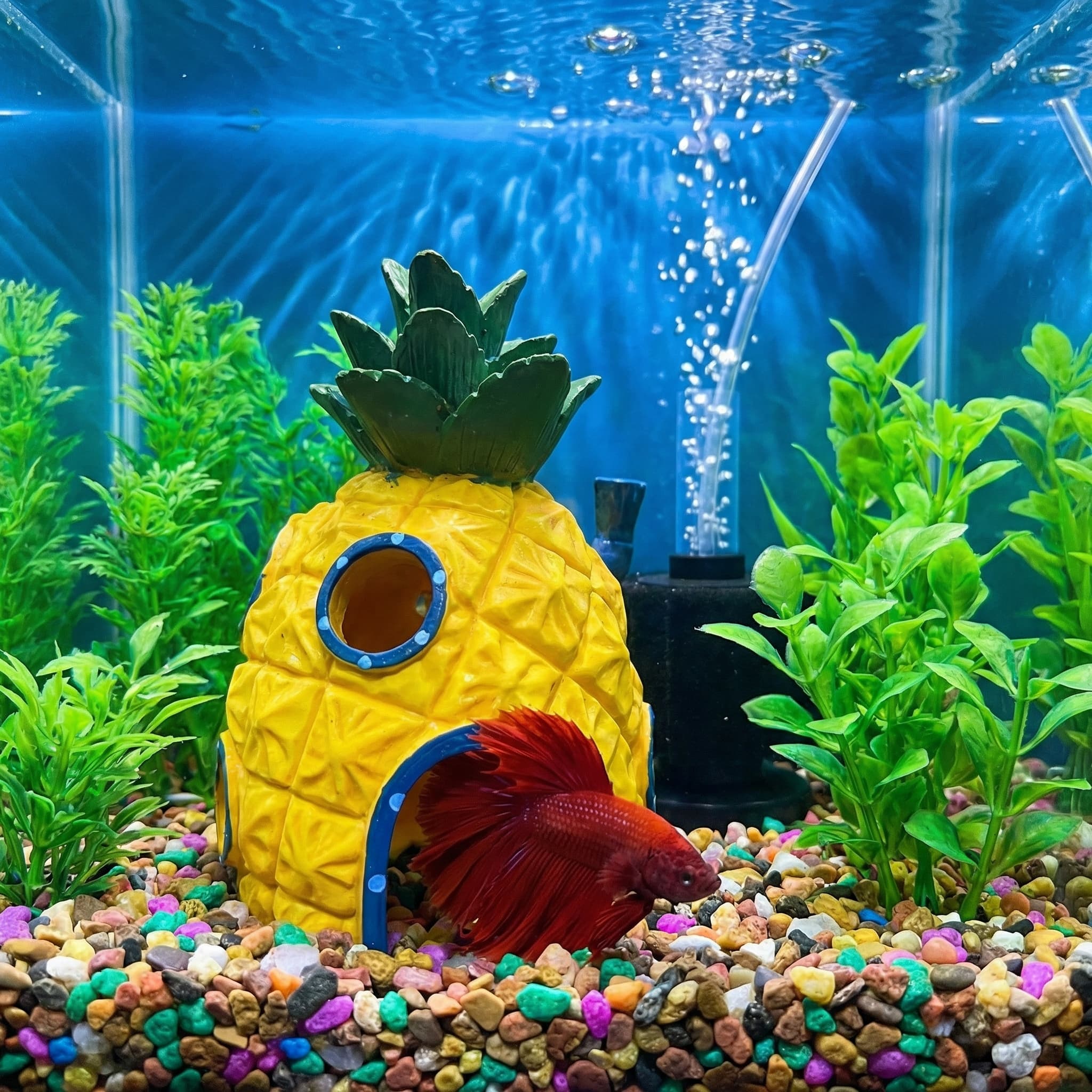 Pineapple House Aquarium Decor - Aquarium Fish Hideout recension och pris