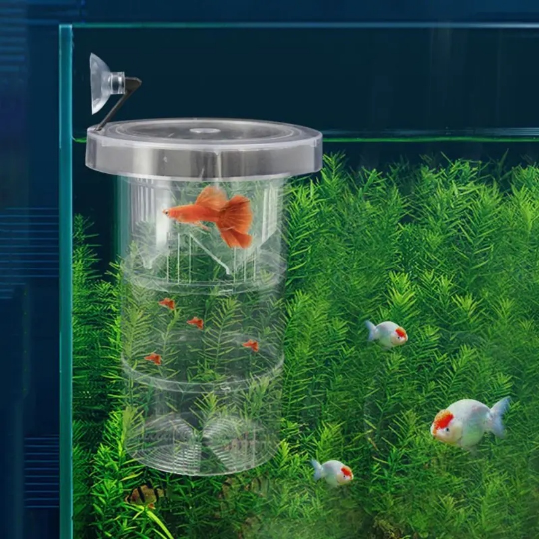 Acrylic Floating Fish Breeding - Aquarium Fish Jar recension och pris