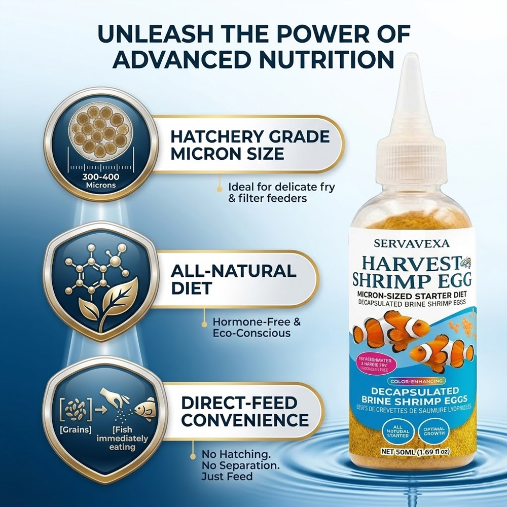 High Protein Fish Food for Bet - Aquarium Fish Vitamin recension och pris