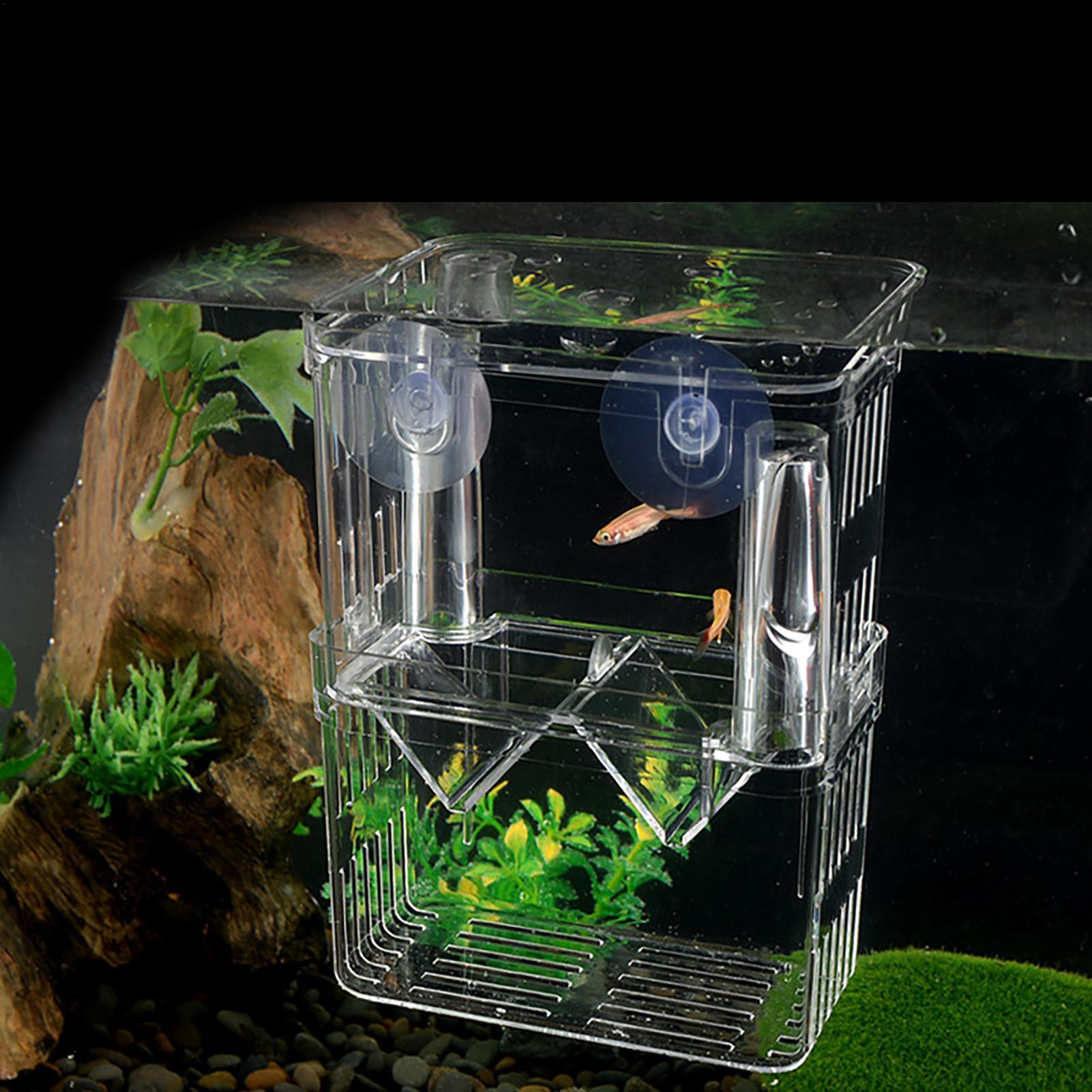 Breeder Box for Fish Tank Tran - Aquarium Fish Jar recension och pris