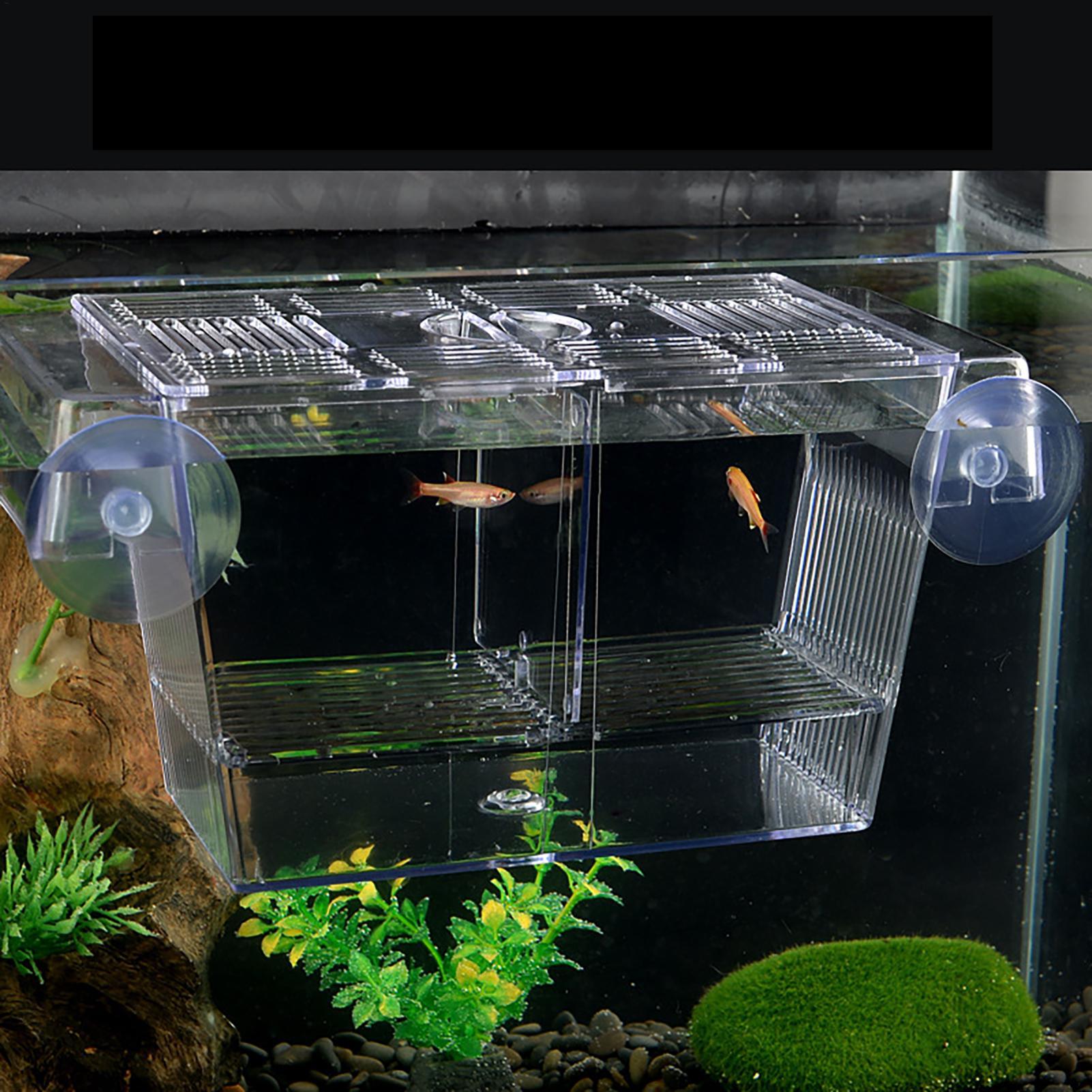 Breeder Box for Fish Tank Tran - Aquarium Fish Jar recension och pris