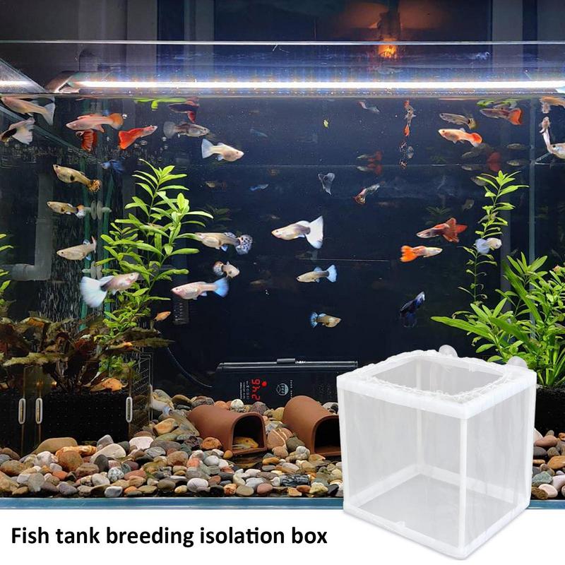 Fish Breeder Box with Suction, - Aquarium Fish Jar recension och pris