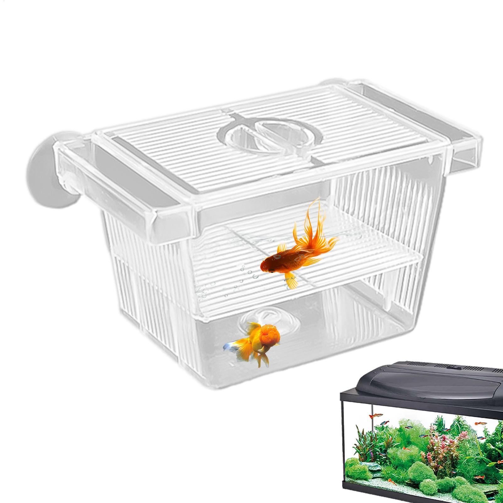 Aquarium Hatchery Acrylic Isol - Aquarium Fish Jar recension och pris