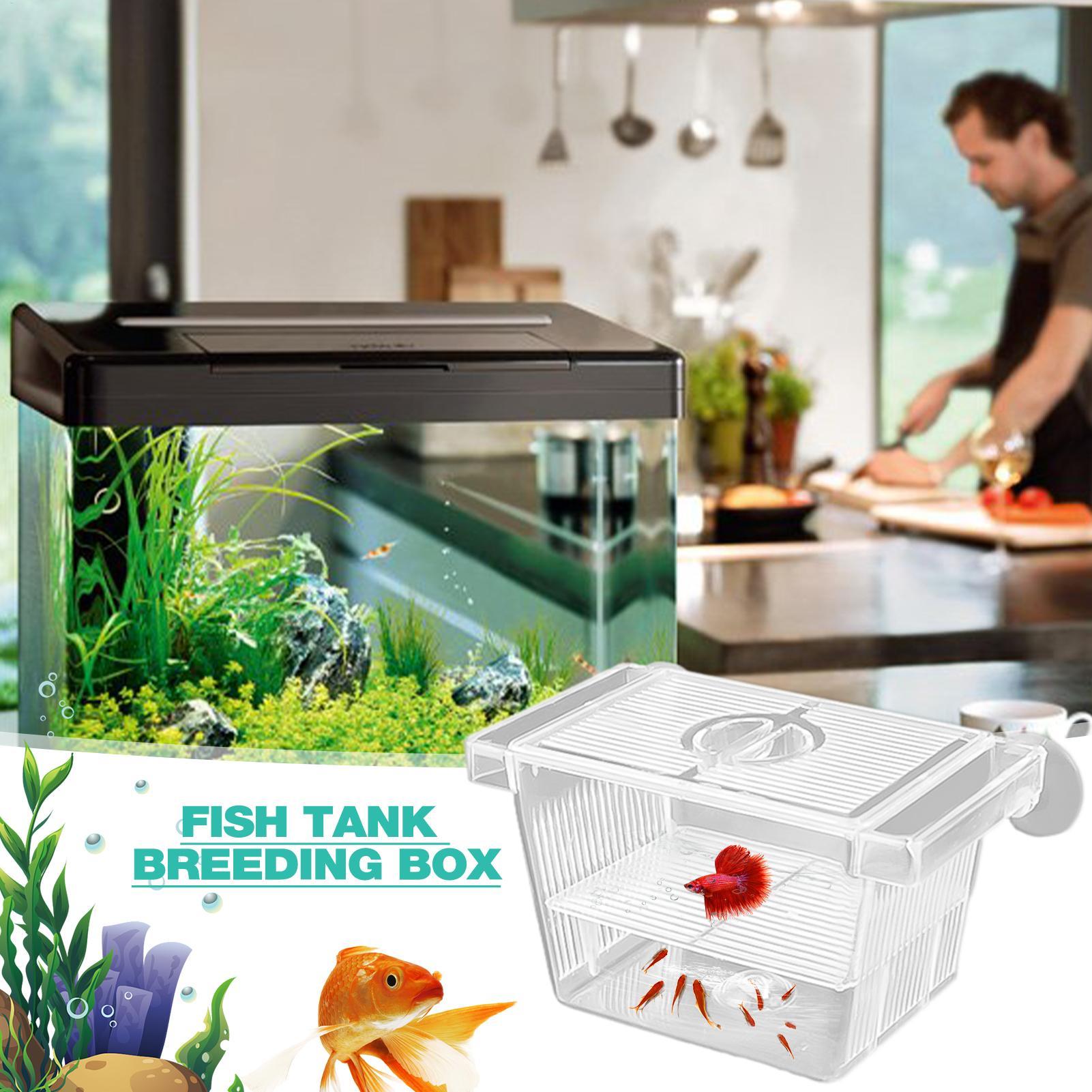 Aquarium Hatchery Acrylic Isol - Aquarium Fish Jar recension och pris