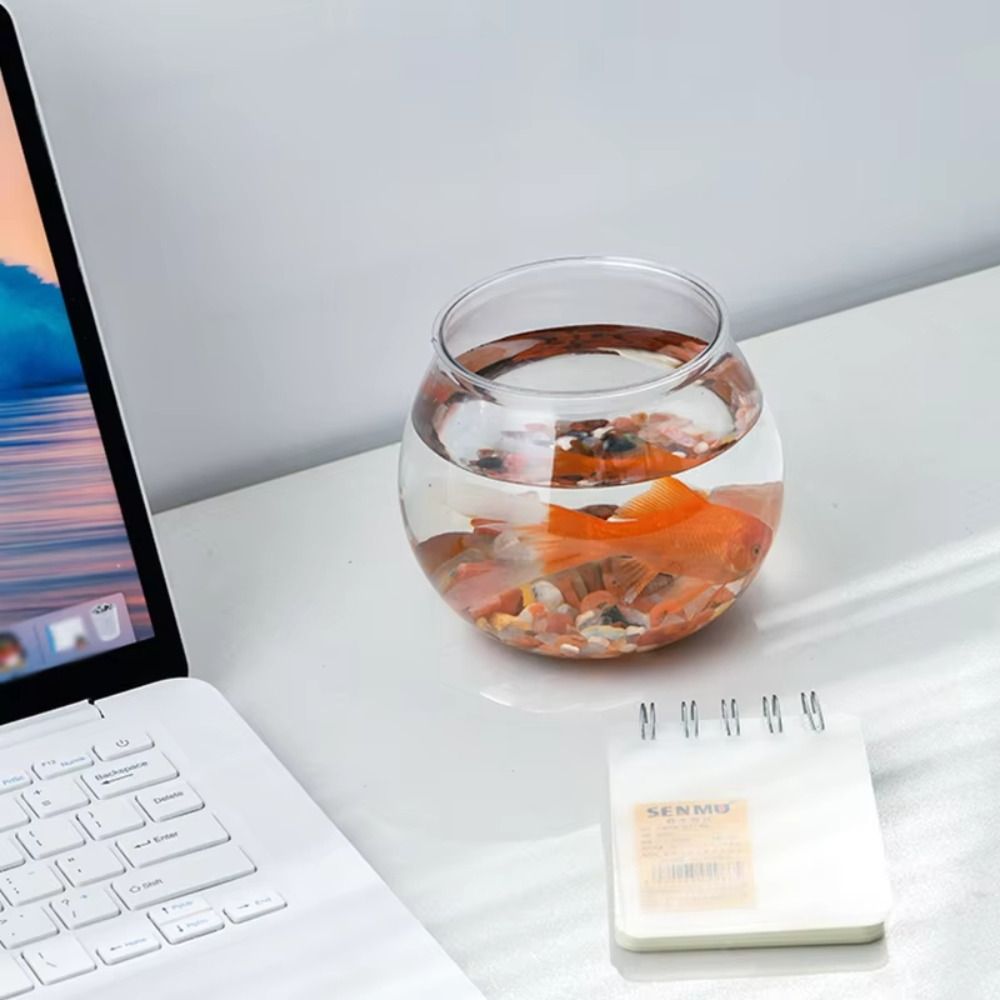 New Transparent Fish Tank Roun - Aquarium Fish Jar recension och pris