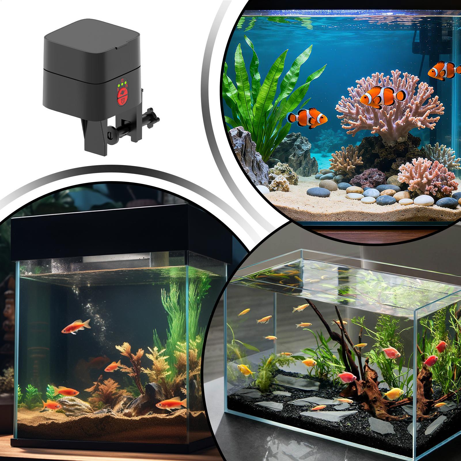 Auto Fish Feeder For Aquarium  - Aquarium Fish Auto Feeder recension och pris