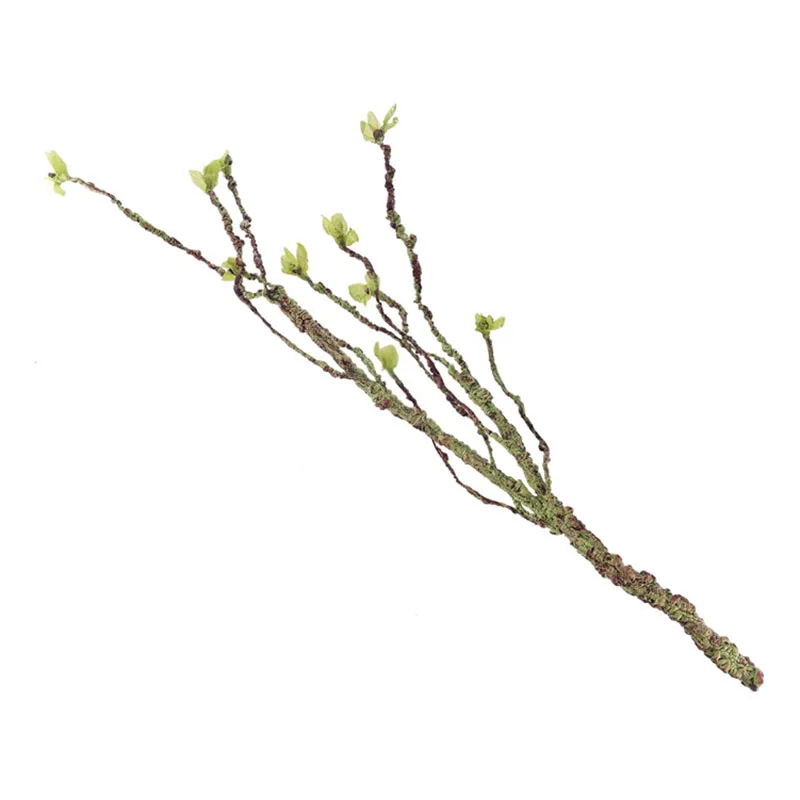 Vines Decor Climbing Branches  - Aquarium Fish Types recension och pris