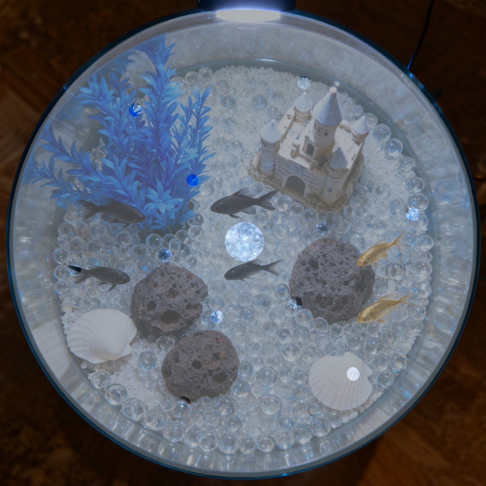7 Inch Round Acrylic Fish Tank - Aquarium Fish Jar recension och pris