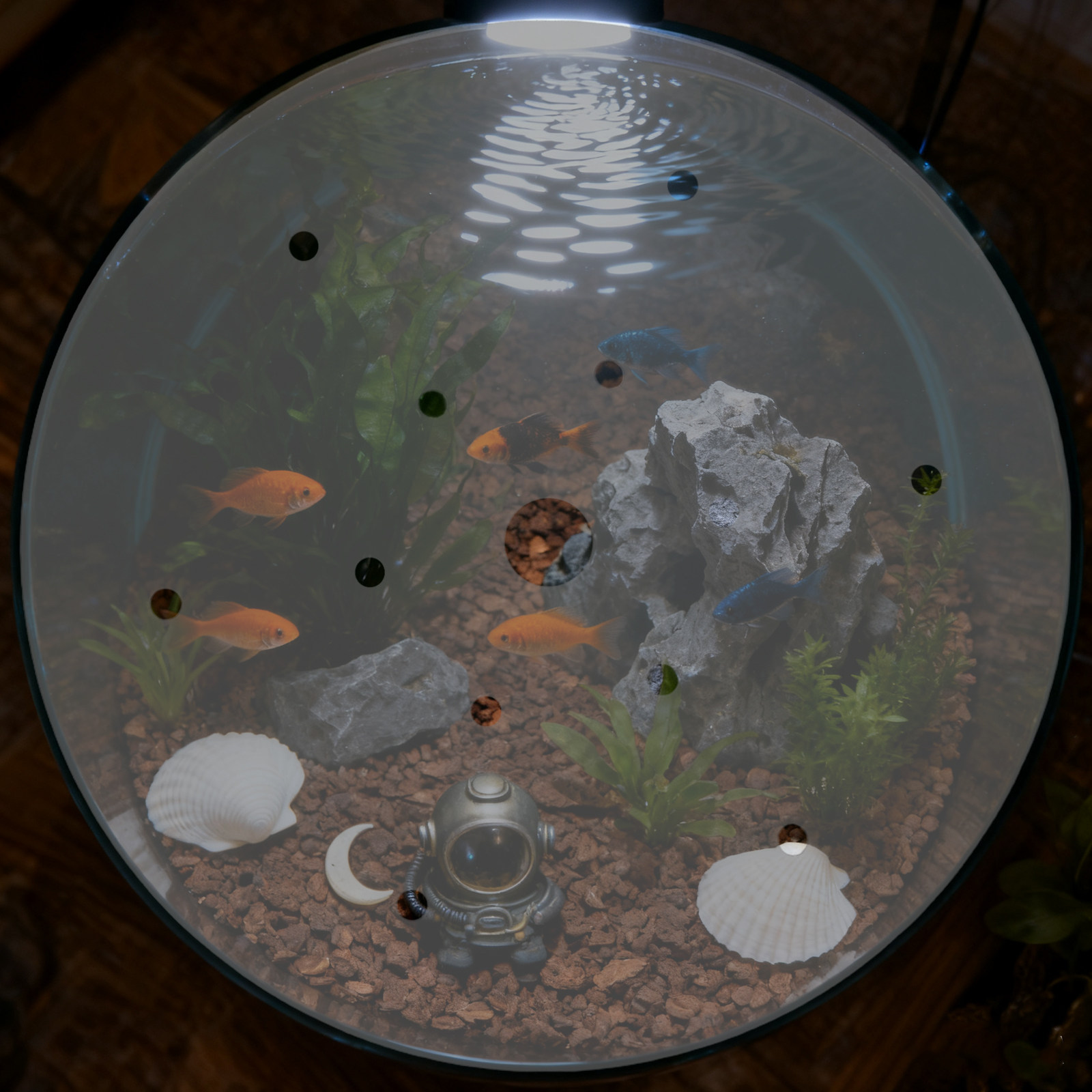 7 Inch Round Acrylic Fish Tank - Aquarium Fish Jar recension och pris