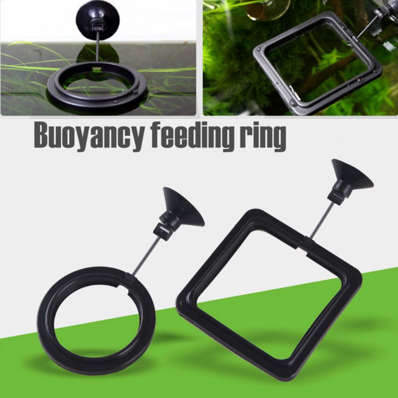 Aquarium Fish Feeding Ring Fis - Aquarium Fish Auto Feeder recension och pris